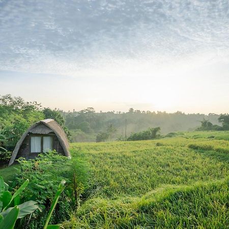 The Tetamian Bali Villa Sukawati  Luaran gambar