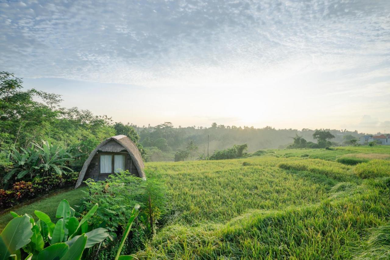 The Tetamian Bali Villa Sukawati  Luaran gambar